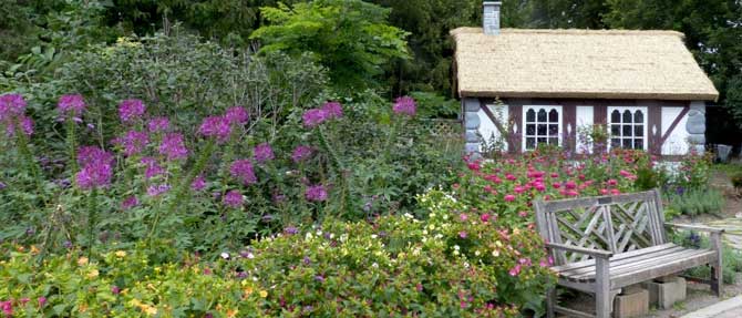 Nicola's Garden: An English Classic