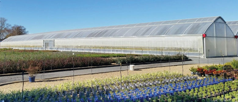 A Family Affair: Stephen Burton from Annton Nursery