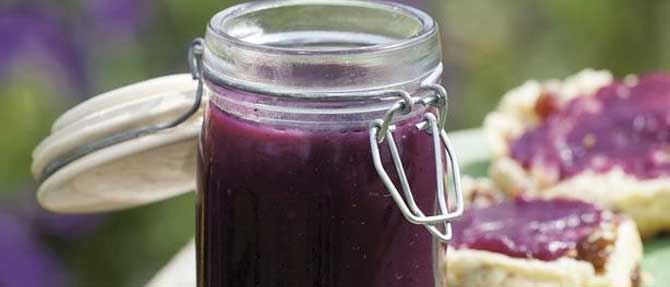 Blueberry, Bay Leaf and Vanilla Curd