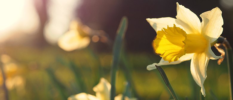 Our Bulb Buyer's Top Picks