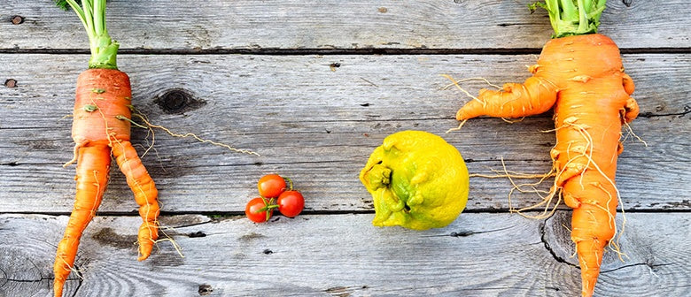 Crop Failures: Where did I go wrong?