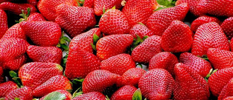 Strawberry FAQs