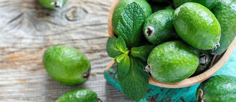 Your Feijoa Questions answered