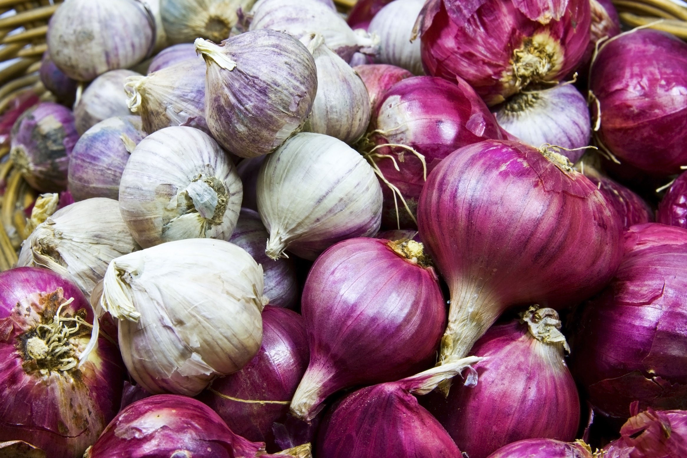 How to Grow Garlic and Shallots