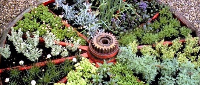 Small Space Herb Garden