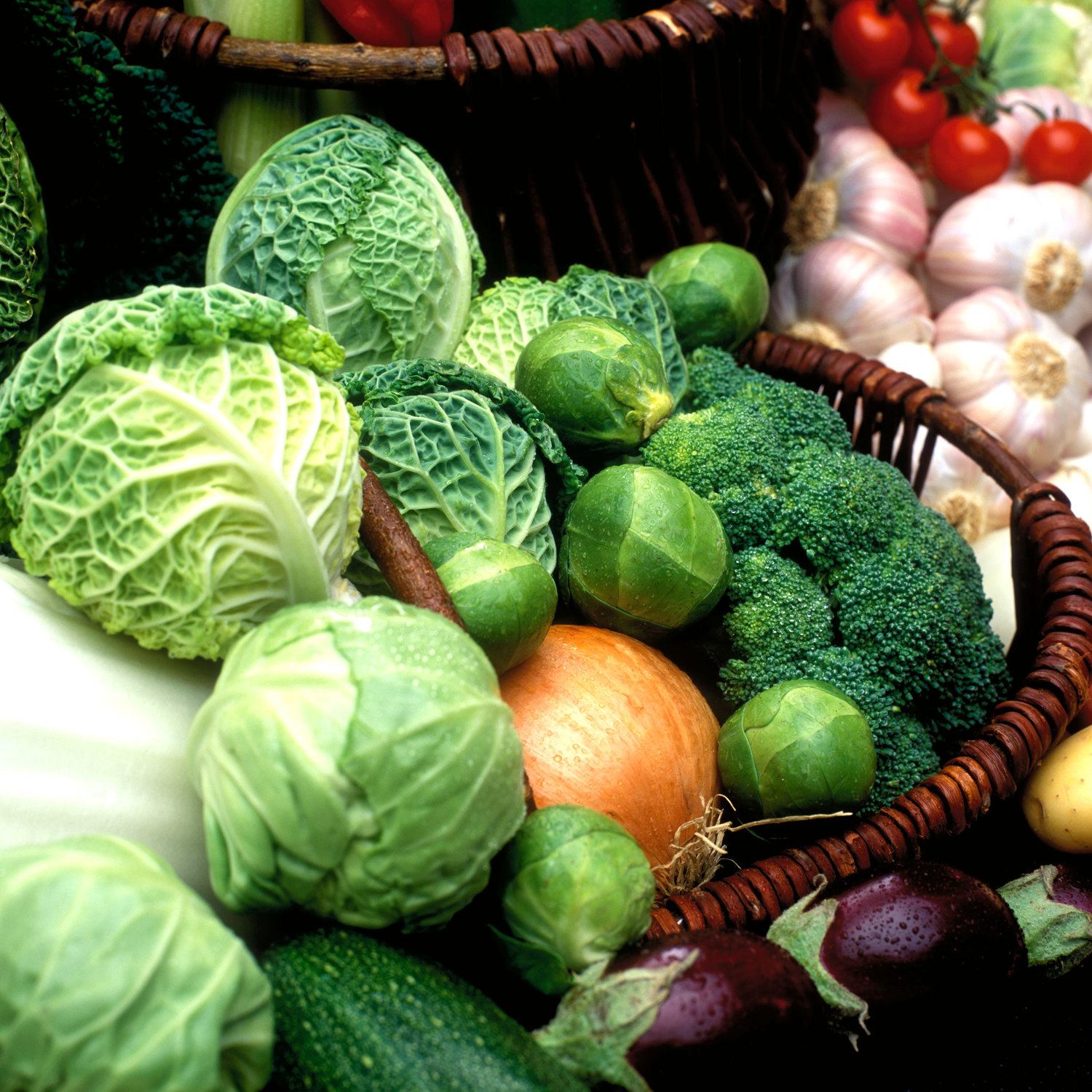 How to Grow Winter Veges