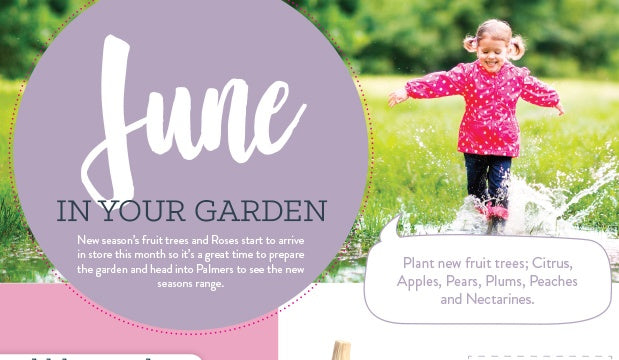June in your garden