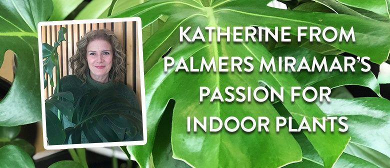 Ask a Palmers Expert: Katherine's passion for indoor plants