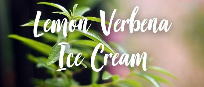 Lemon Verbena Ice Cream