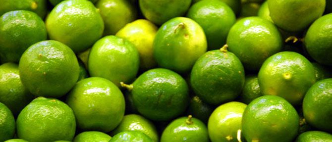 Chocolate Lime Cupcakes