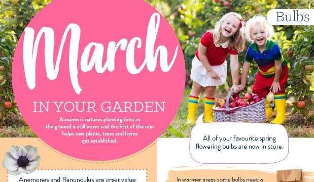 March in your garden