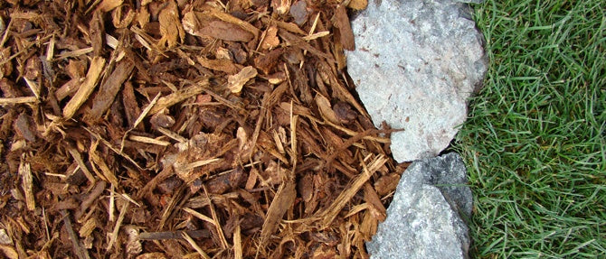 Mad About Mulch