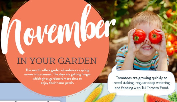 November in your garden
