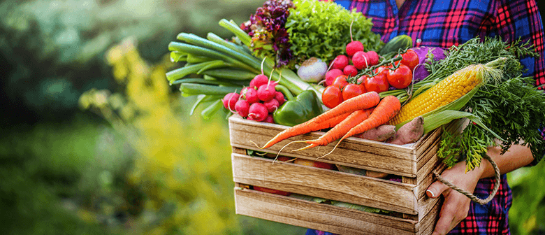 Organic Gardening Products