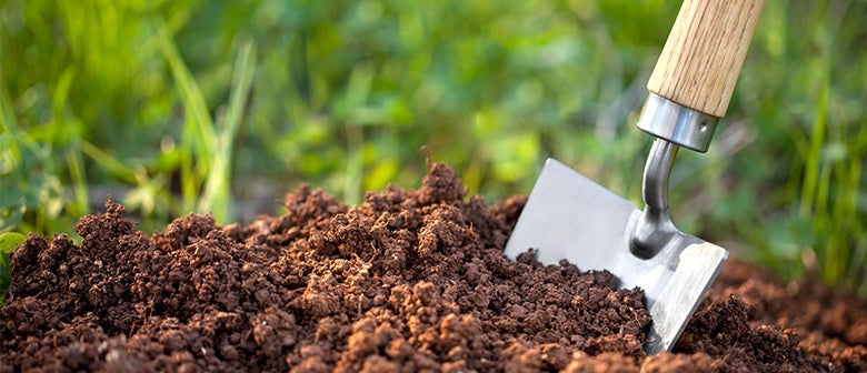Preparing your Soil for Spring