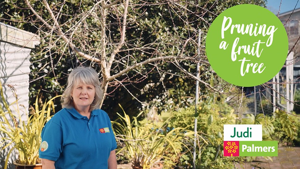 How to Prune Fruit Trees