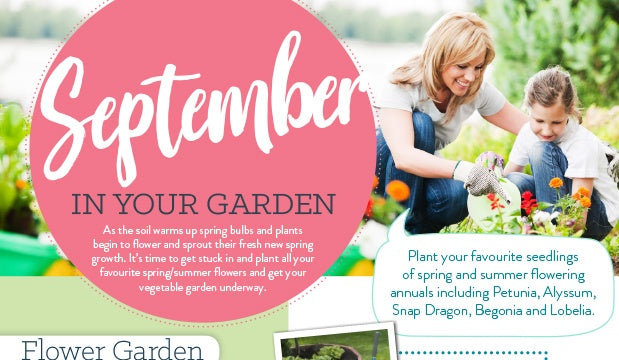 September in your garden