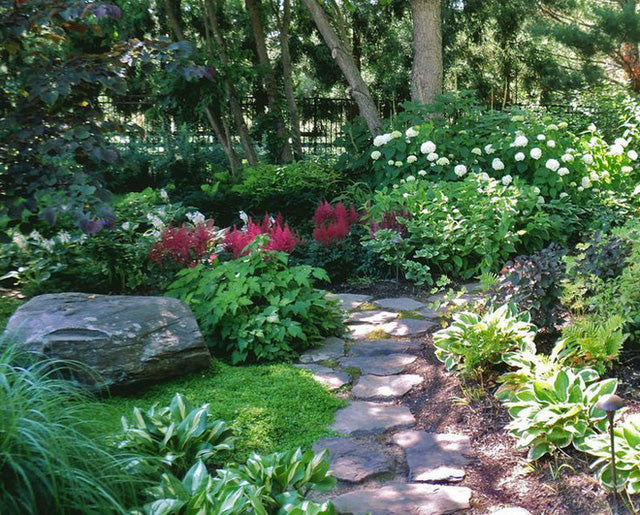 How to Grow a Shade Garden