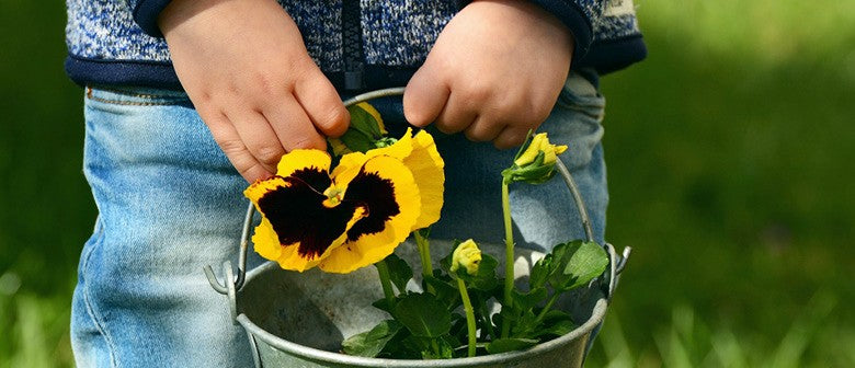 Top 10 Spring Gardening Ideas