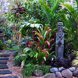 How to Create a Tropical Garden