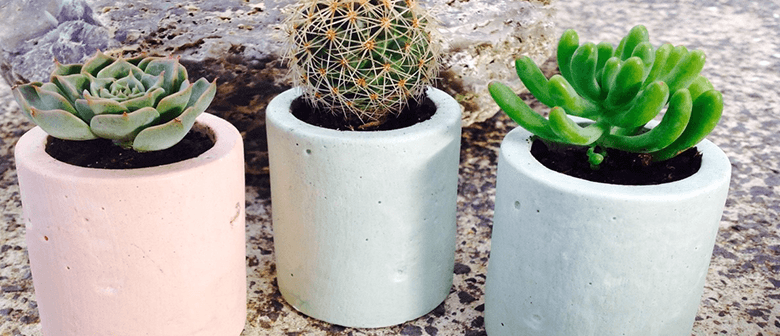 DIY: Mini Plaster Pots