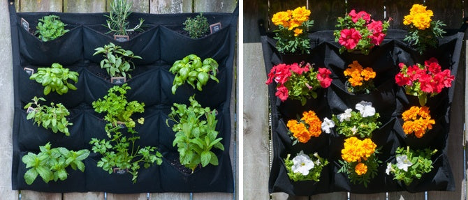 How to Create a Vertical Garden