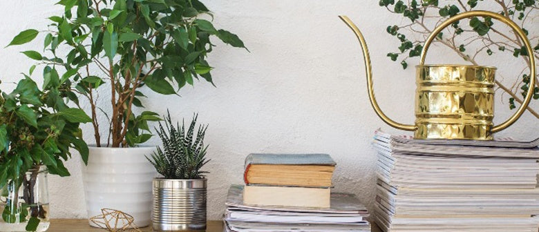 How and When to Water Houseplants