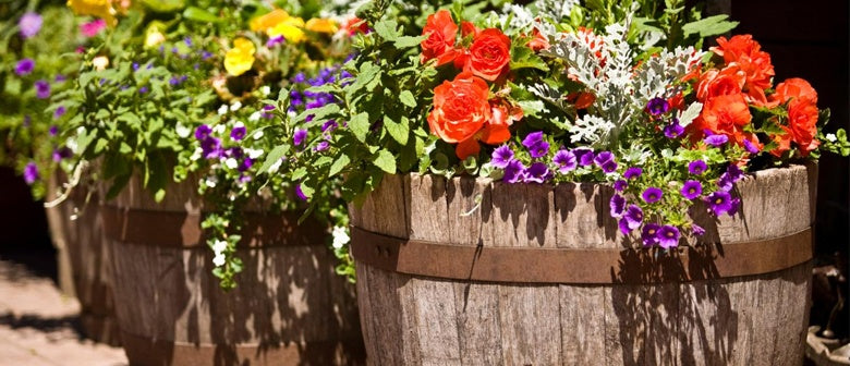 Wine Barrels Reinvented!