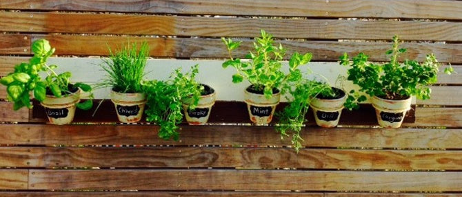 DIY Aged Pot Wall Garden