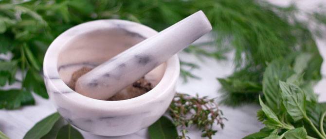 Winter Herbs for Health