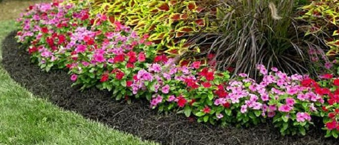 Mulch for Less Work in the Garden