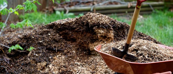 Nicola's Garden: Much More Mulch