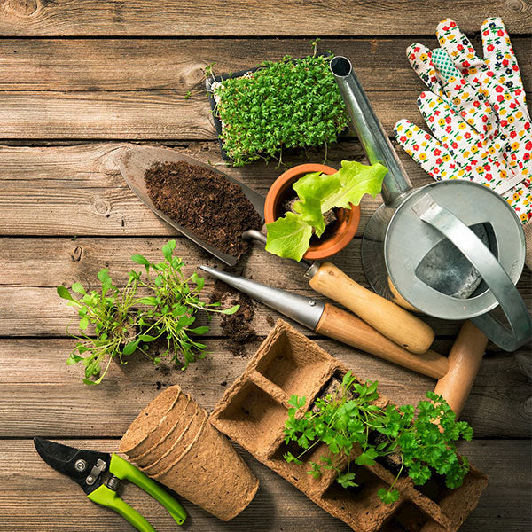 Garden accessories shop