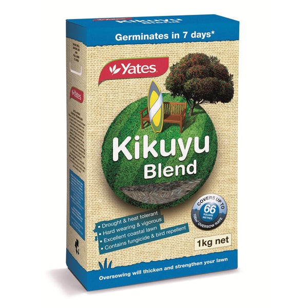 Kikuyu Blend Lawn Seed - 1Kg