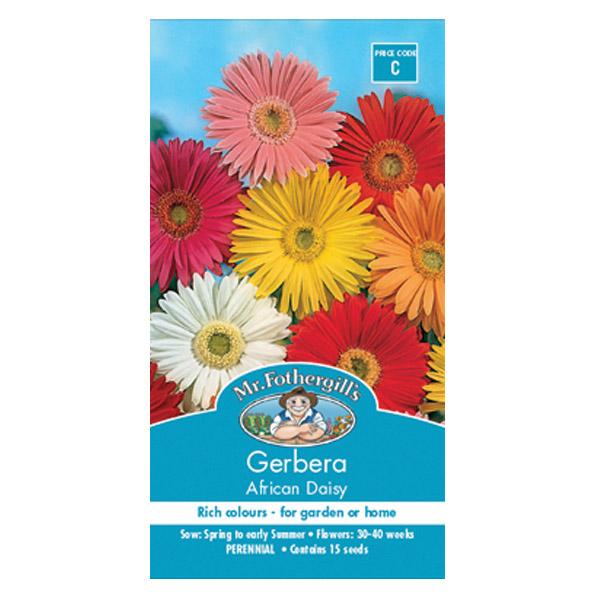 gerbera flower seeds online Gerbera African Daisy Seed