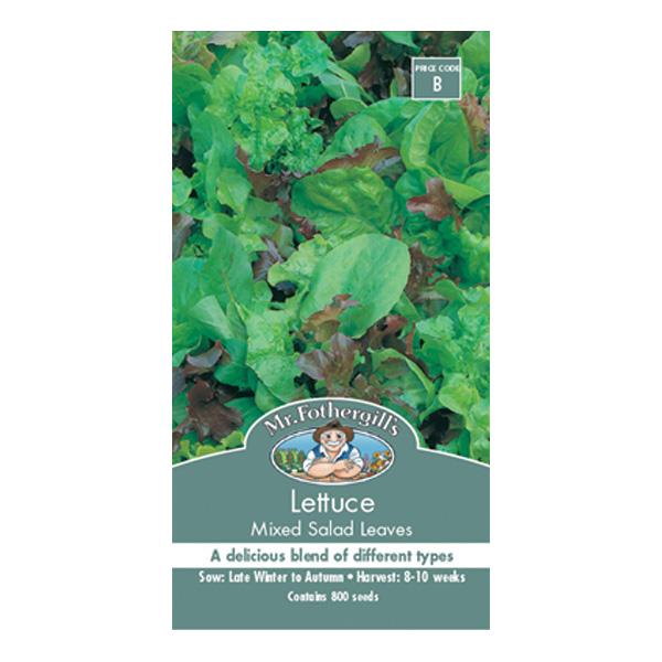 Lettuce Mixed Salad Leaves Seed