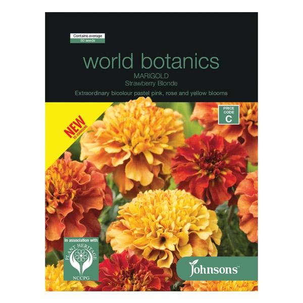 marigold strawberry blonde seeds Marigold Strawberry Blonde Seed
