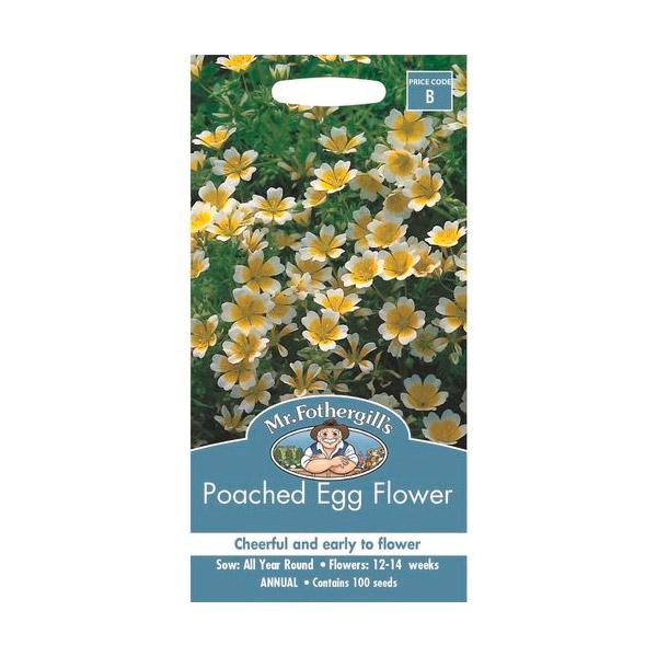 poached egg plant seeds for sale Poached Egg Flower Seed