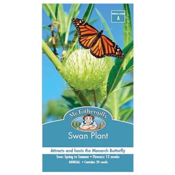 Swan Plant Seed