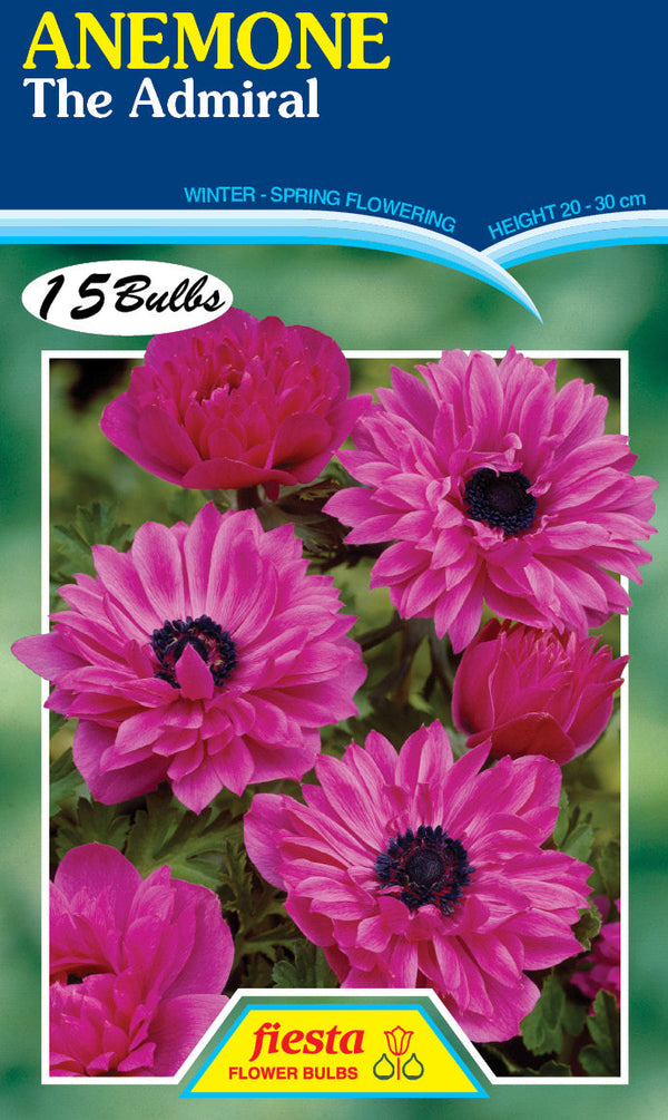 Anemone The Admiral 15PK