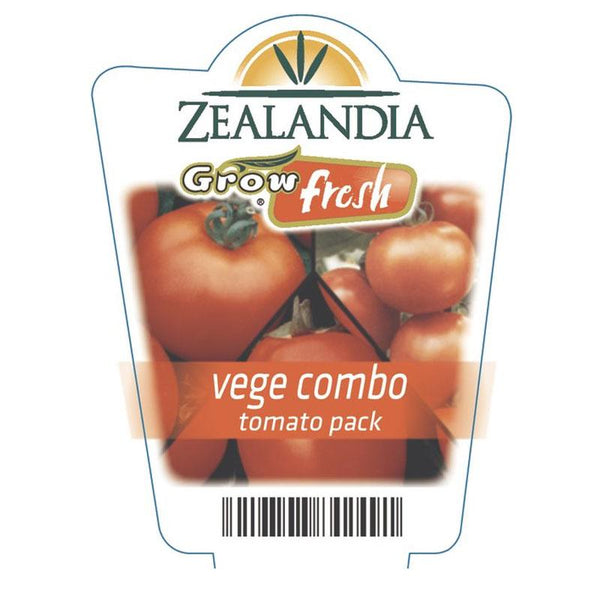 Vege Combo Tomato Pack Vegetable Punnet