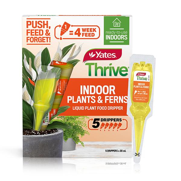 thrive indoor plant food Yates Thrive Indoor Plants & Ferns Liquid Plant Food Drippers