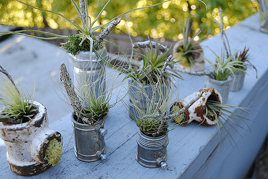 Cute-Air-Plants-upcycled