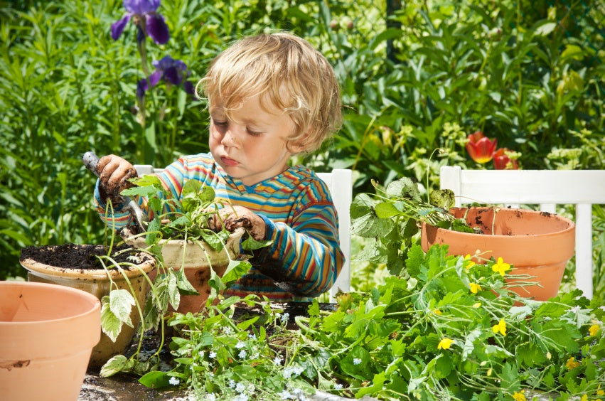 Fun Winter Gardening