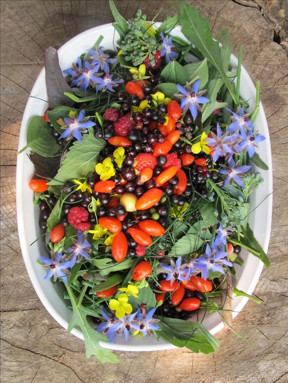 summer salads with edible flowers