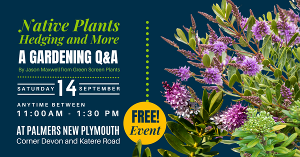 A Gardening Q&A by Jason Maxwell from Green Screen Plants at Palmers New Plymouth
