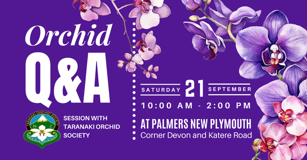 Orchid Q&A session with Taranaki Orchid Society