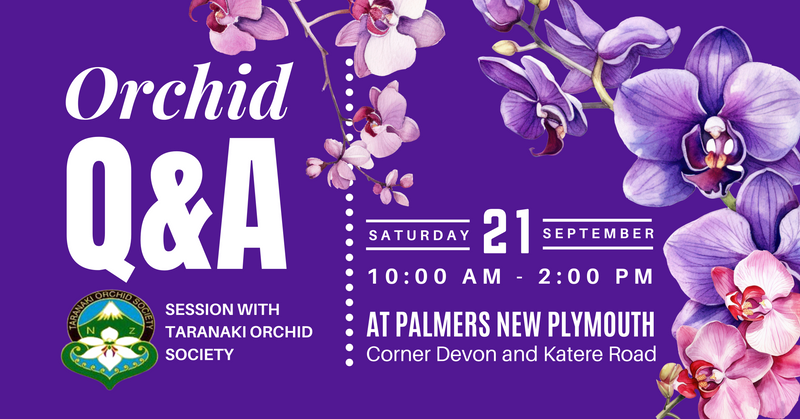 Orchid Q&A session with Taranaki Orchid Society