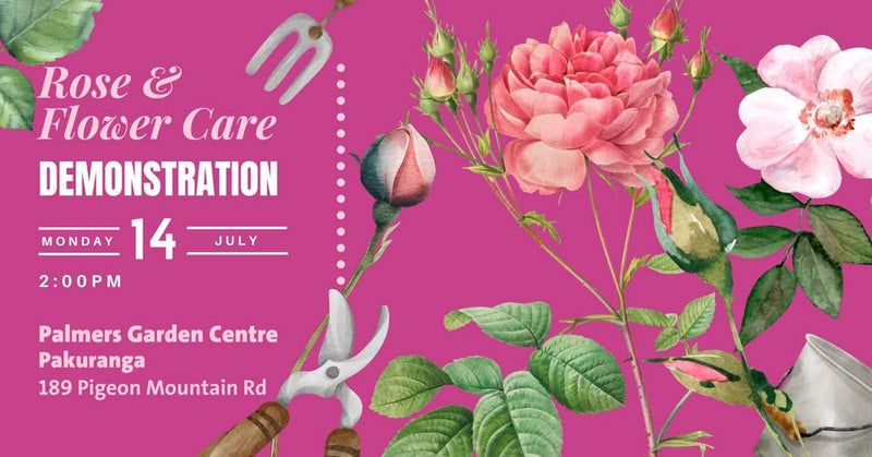 Rose and Flower Care Demonstration at Palmers Pakuranga