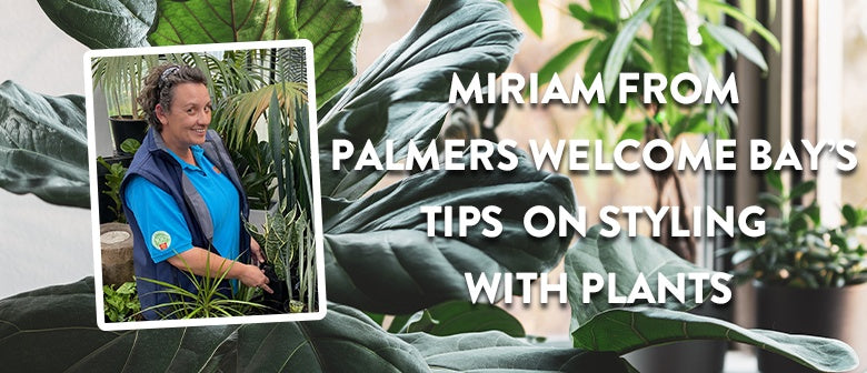 Ask a Palmers Expert: Miriam's Tips on Styling with Plants